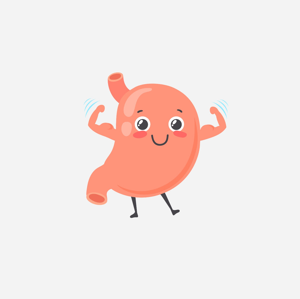 Ebook : 30 recettes digestion